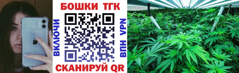 Бошки Шишки семена Фурманов